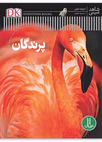 پرندگان (شاهد عینی)