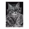 تابلو نقاشی سیاه قلم طرح گربه