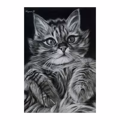 تابلو نقاشی سیاه قلم طرح گربه