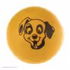 توپ اسباب بازی سگ و گربه مدل Pet ball مجموعه دو عددی