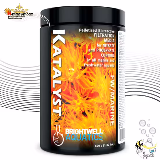 مدیا کاتالیست بایوپلیتی برایت ول