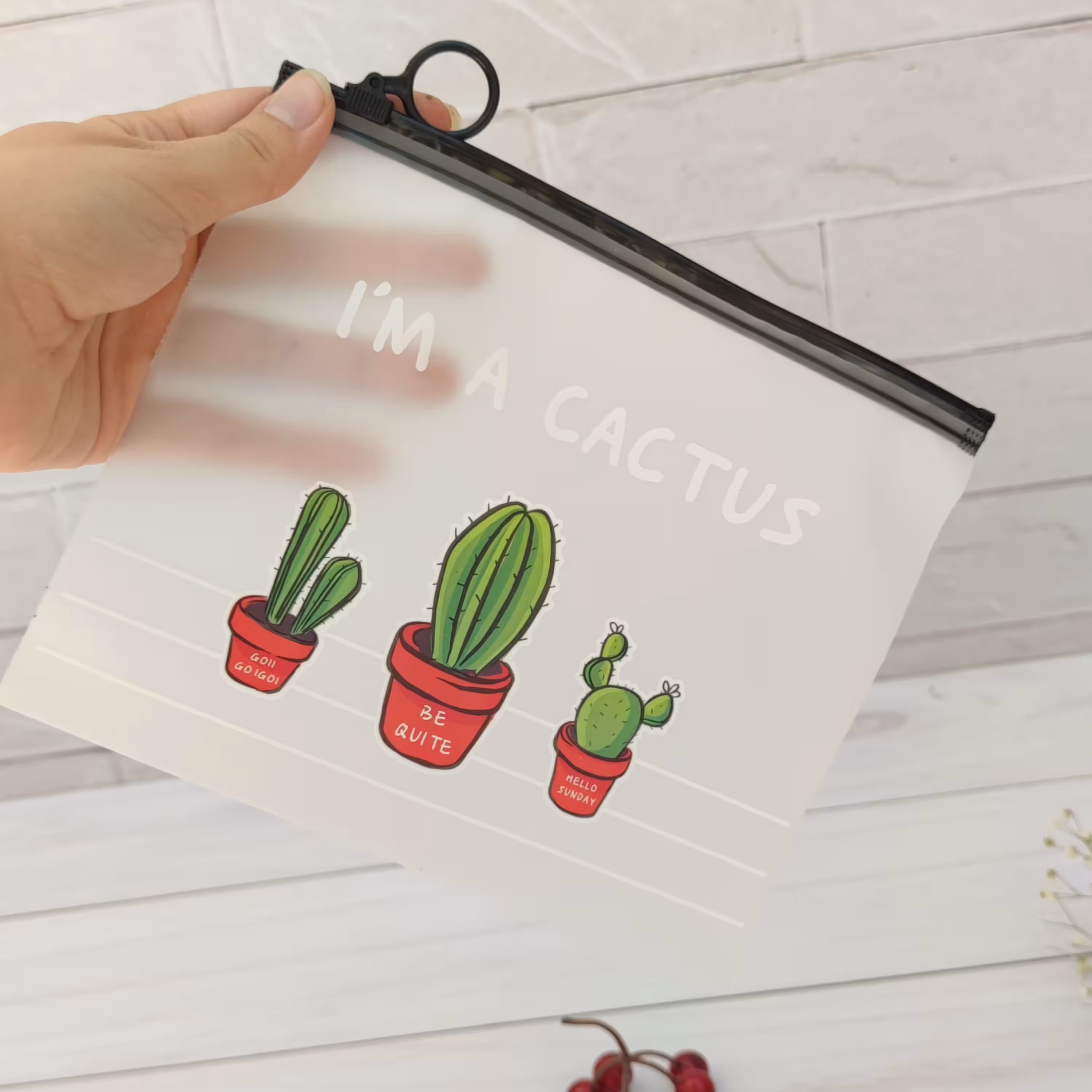 جامدادی و کاور طرح کاکتوس 