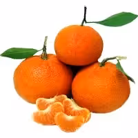 نهال نارنگی پاکستانی یا کینو (Kinnow)