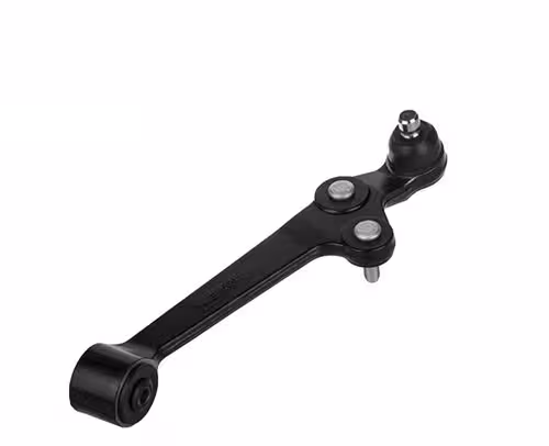 طبق کامل چپ امیرنیا مناسب برای تیبا