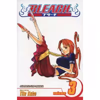 Bleach v03
