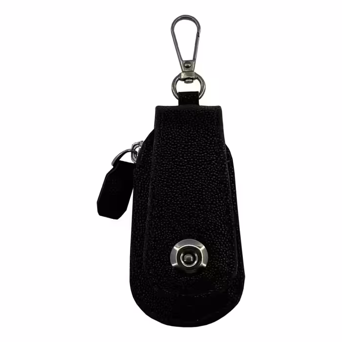 کیف ریموت خودرو مدل R-LUX-1080