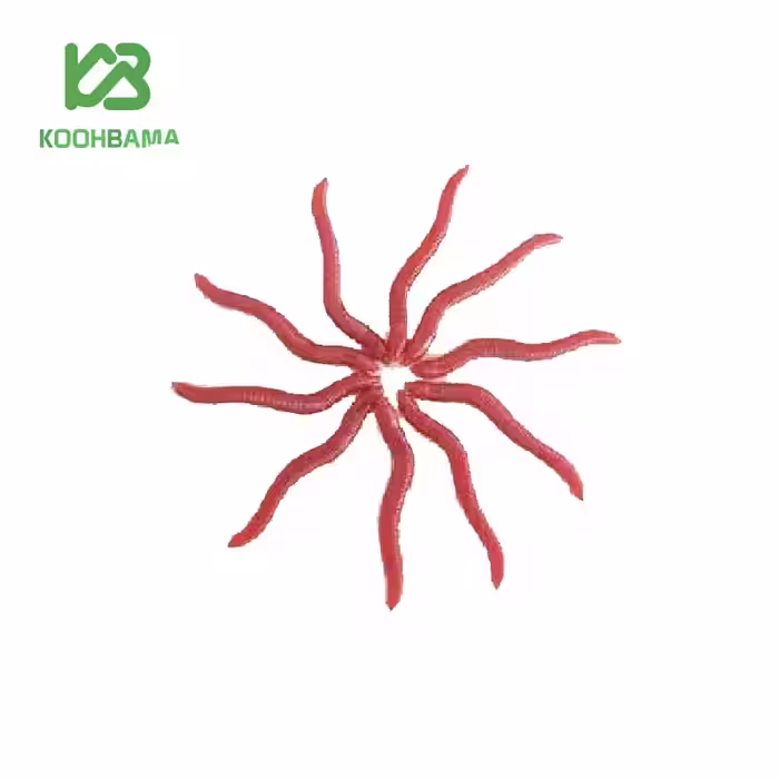 کرم مصنوعی  خاکی جعبه ای