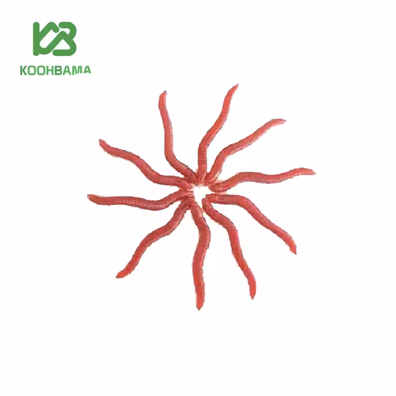 کرم مصنوعی  خاکی جعبه ای