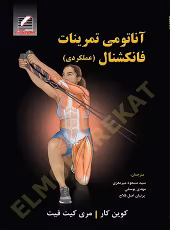 آناتومی تمرینات فانکشنال (عملکردی)