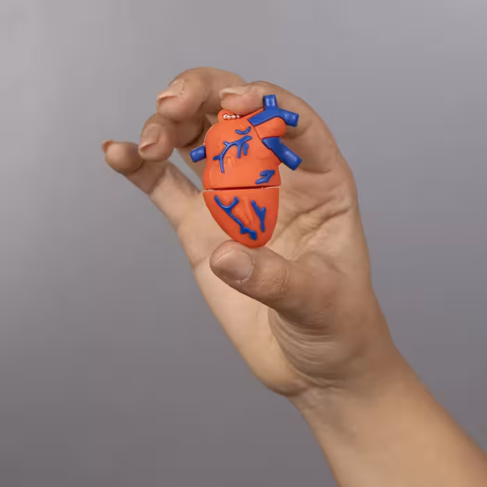 فلش مموری مدل آناتومی قلب ظرفیت 64 گیگابایت