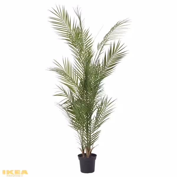 گیاه گلدانی نخل کنتیا مصنوعی FEJKA | برند ایکیا | ارسال 15 الی 20 روز کاری