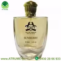 عطر ادکلن ریو سانبری 100 میل زنانه