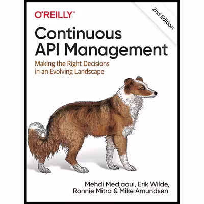 کتاب Continuous API Management اثر جمعی از نویسندگان انتشارات OReilly Media
