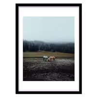 قیمت و خرید تابلو دکوراتیو مدل عکاسی منظره و طبیعت کد 1535