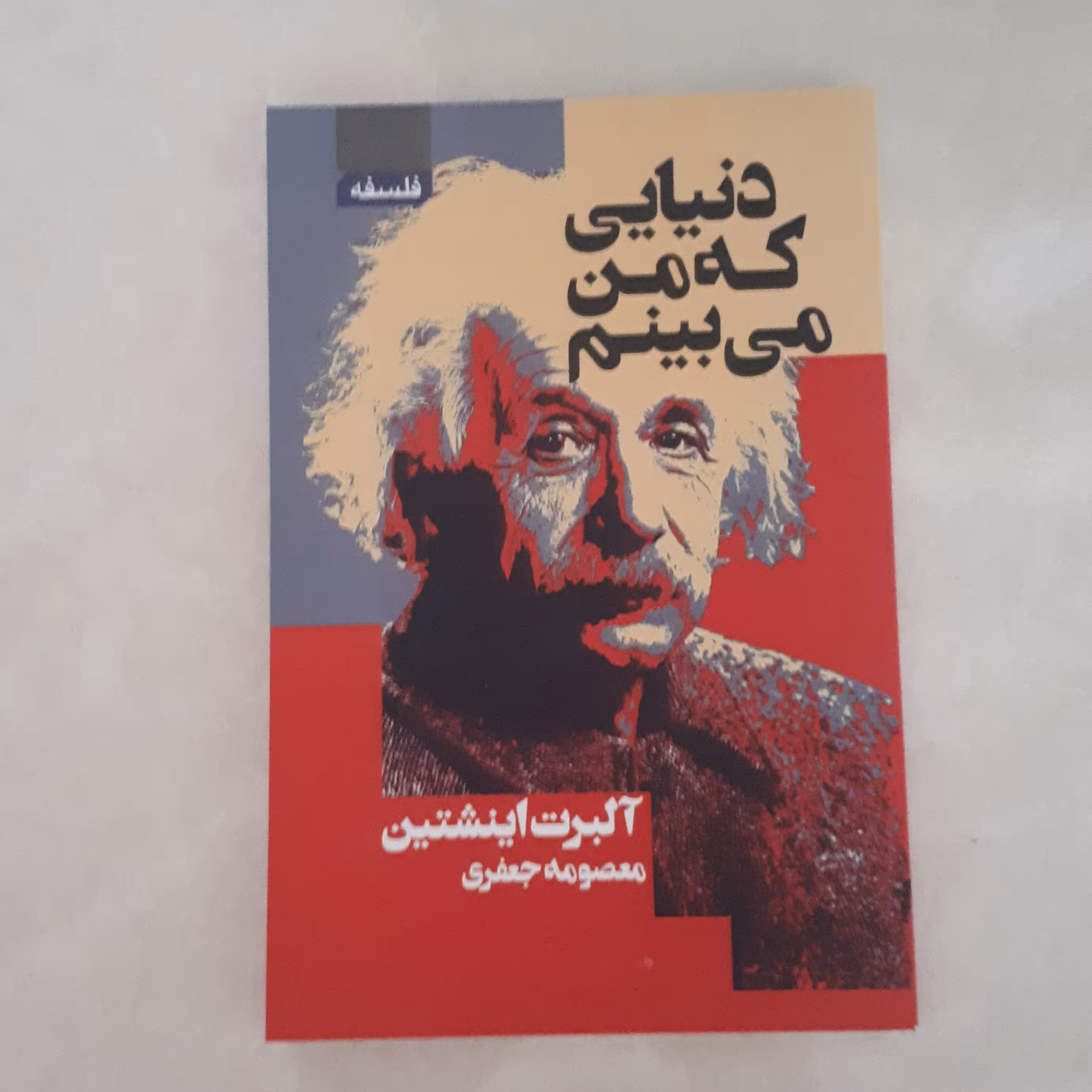 کتاب دنیایی که من می بینم اثر آلبرت انیشتین ترجمه معصومه جعفری کاغذ بالکی