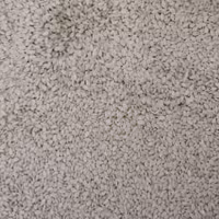 نیم کیلو کنجد سفید درجه یک بدون پوست  و یکدست