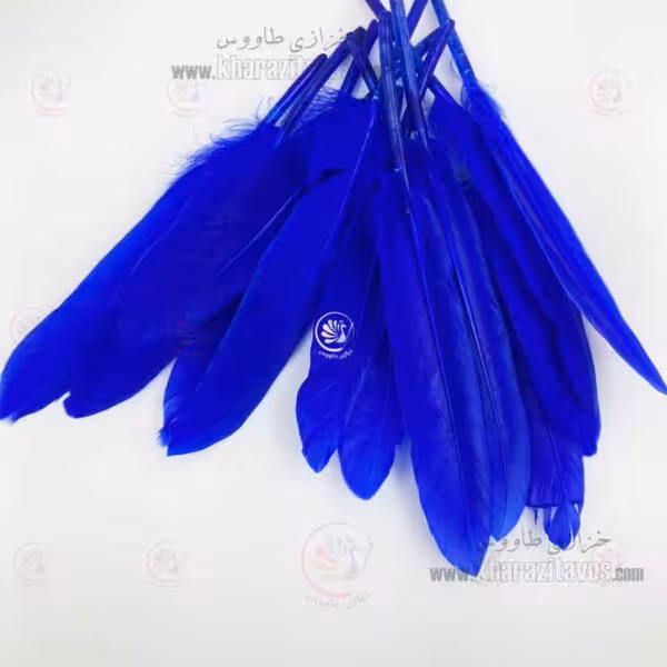 پر کفتری ( کاربنی )