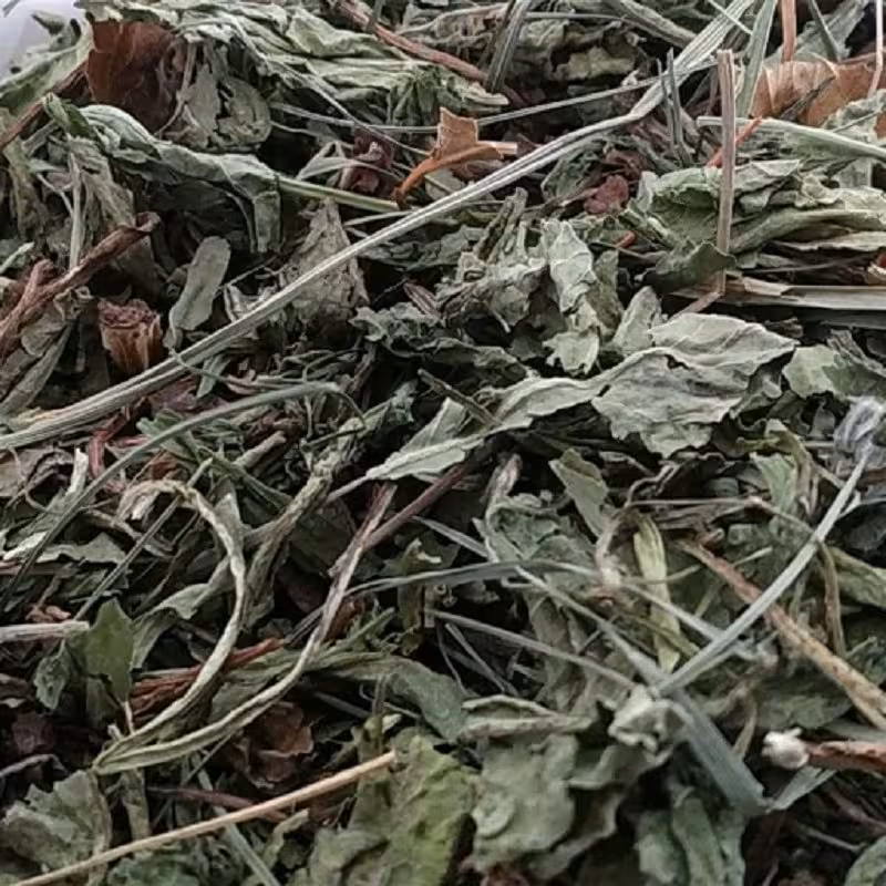 برگ کاسنی تمیز امسالی 250 گرمی 