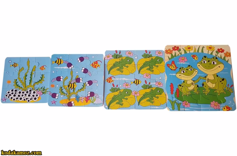 پازل 4 لایه رشد چوبی بزرگ