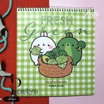 دفتر مشق خشتی مولانگ