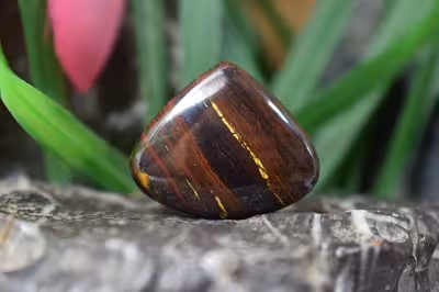 چشم ببر اهنی