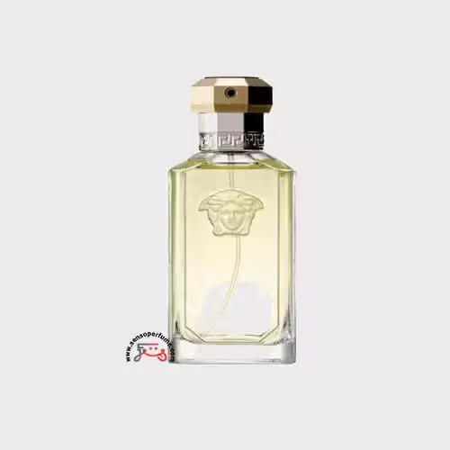 عطر ادکلن ورساچه دریمر | versace dreamer