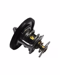 ترموستات هايما 2000