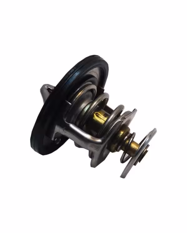 ترموستات هايما 2000