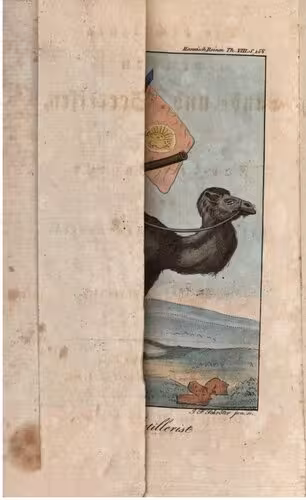 خرید و دانلود نسخه کامل کتاب Die wichtigsten neuern Land- und Seereisen