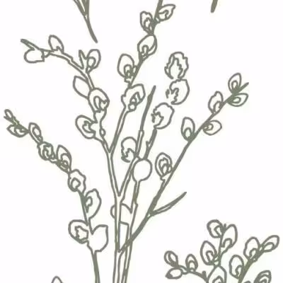غلطک طرح دار GR-132