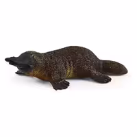 پلاتیپوس اشلایش Schleich