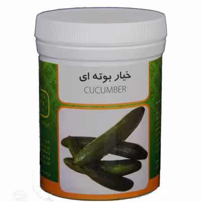 بذر خیار بوته ای رامان