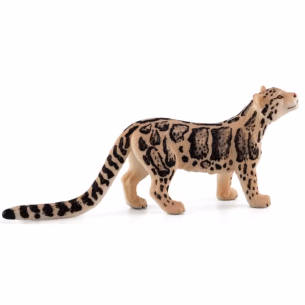 فیگور پلنگ ابری Clouded Leopard MOJO
