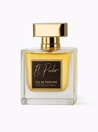 El Poder Toeslagen EDP 100 ml - ادوپرفیوم مردانه ال پودر توسلاگن حجم 100 میلی‌لیتر - نگین عطر