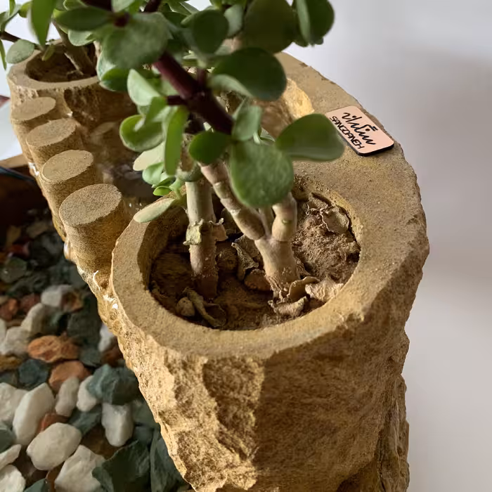 آب نما سنگدانه مدل AB125