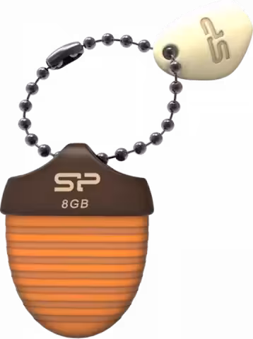 فلش مموری 8گیگابایت Silicon Power مدل TOUCH T30