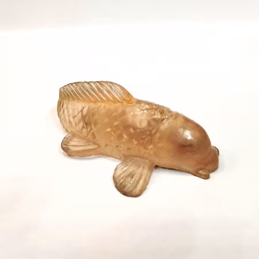 ماهی رزینی بزرگ