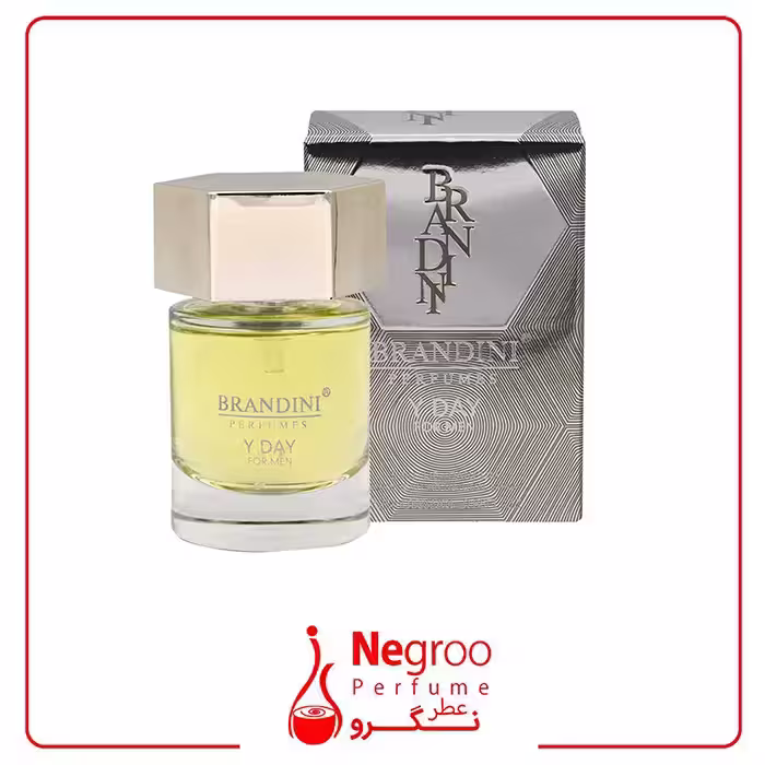 عطر جیبی مردانه برندینی مدل Y Day حجم 25 میلی لیتر