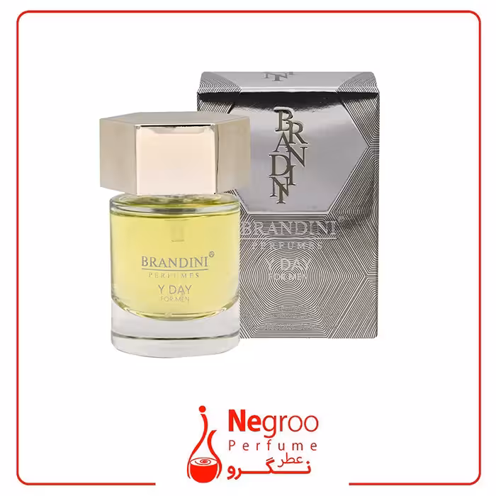 عطر جیبی مردانه برندینی مدل Y Day حجم 25 میلی لیتر