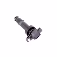 کوئل کیا سید