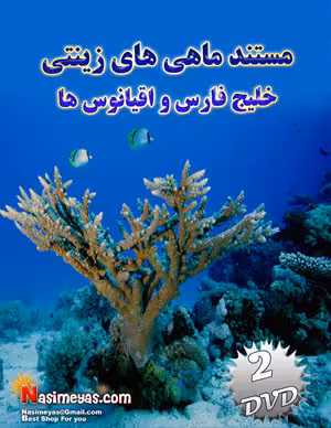 مستند ماهیان زینتی خلیج فارس و اقیانوس ها