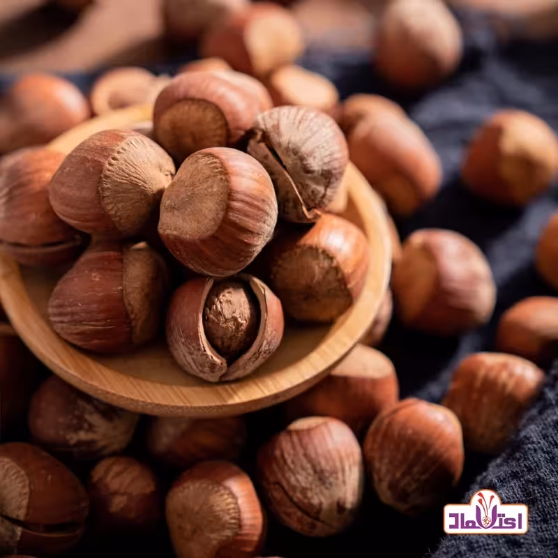 فندق خام 500 گرمی اعتماد تازه و کم خطا | amazonchi