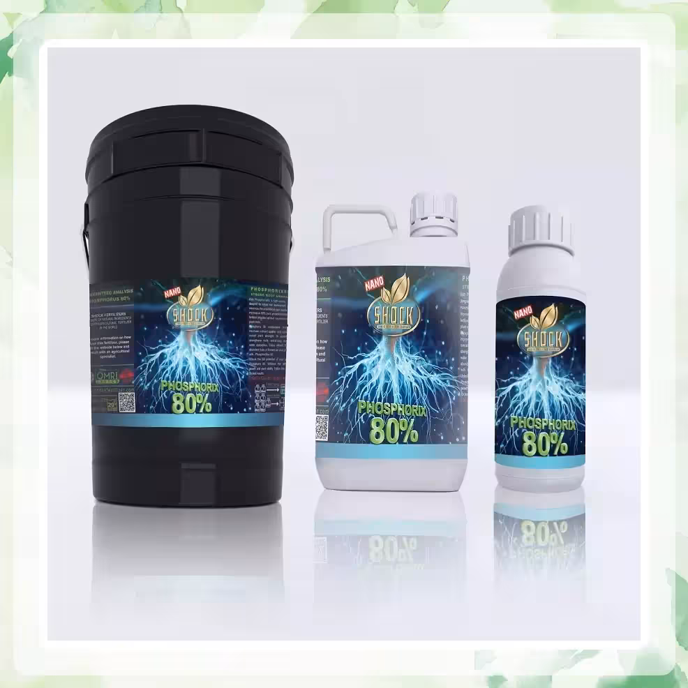 کود فسفر بالا شوک 80%