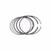 رینگ پیستون دیگنیتی پرستیژ