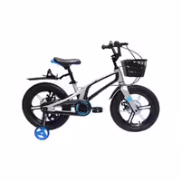 دوچرخه سایز 16 کاپریولو مدل روما CAPRIOLO ROMA دیسکی