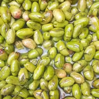 زیتون شکسته ماری