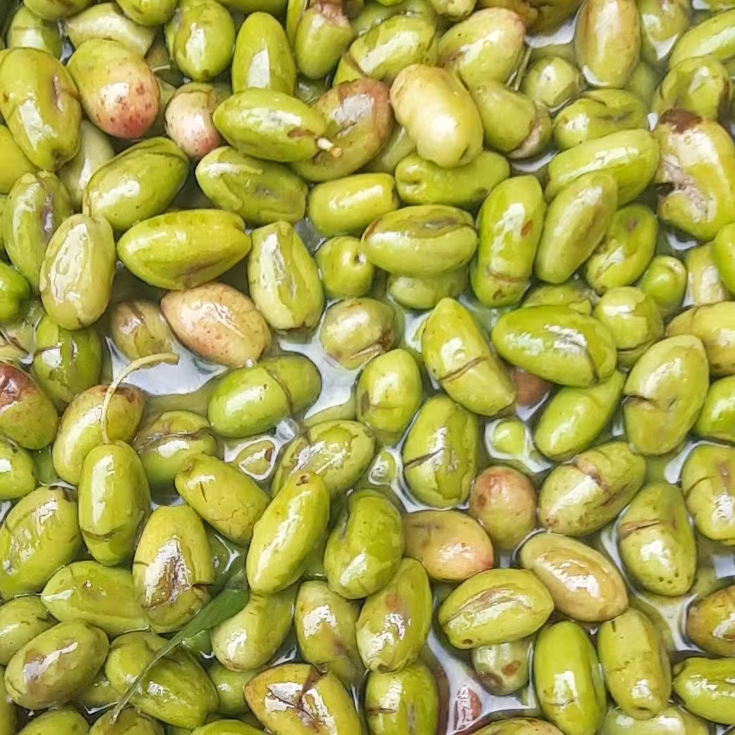 زیتون شکسته ماری