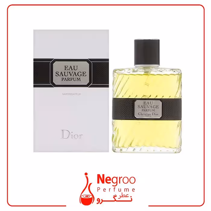 عطر ادکلن دیور او ساواج پرفیوم 2017 100 میل