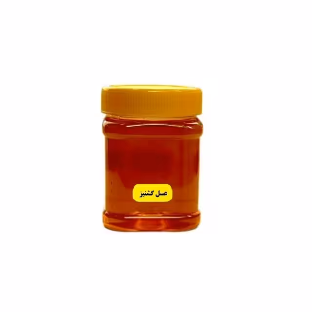 عسل گشنیز 500 گرمی