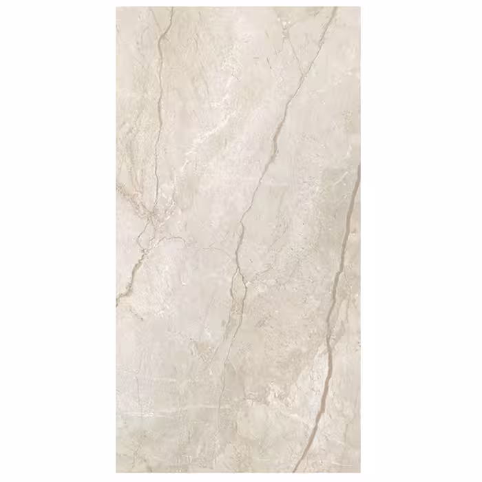 سرامیک کف و دیوار طرح جنگل سایز 120×60 از برند آسیا
